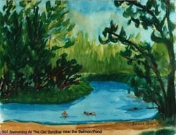 022_Swimming_at_the_Old_Sandbar