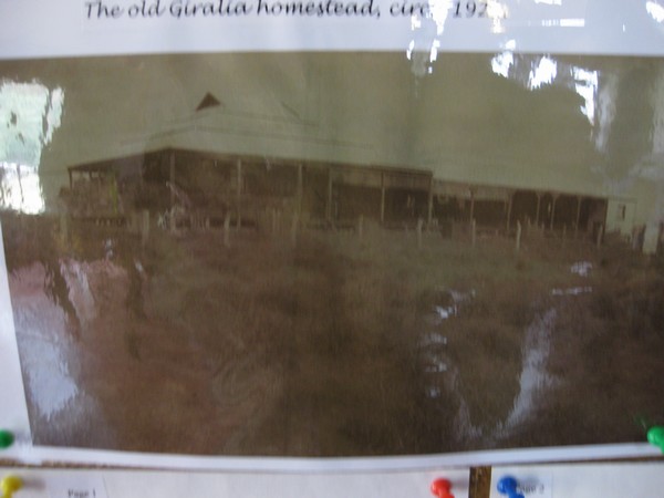n_img_1689__this_original_1920_s_homestead_was_damaged_in_1997_by_cyclone_vance__measured_winds_267_kph__estimated_330_kph_.jpg