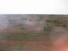 IMG_1707  The next station where goats graze, is less green.JPG