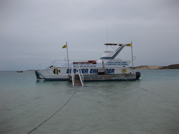 n_img_1767__coral_bay___ningaloo_reef_is_a_fringe_reef__close_to_shore___here_it_is_anchored_just_where_the_depth_increases__so_we_could_walk_out.jpg