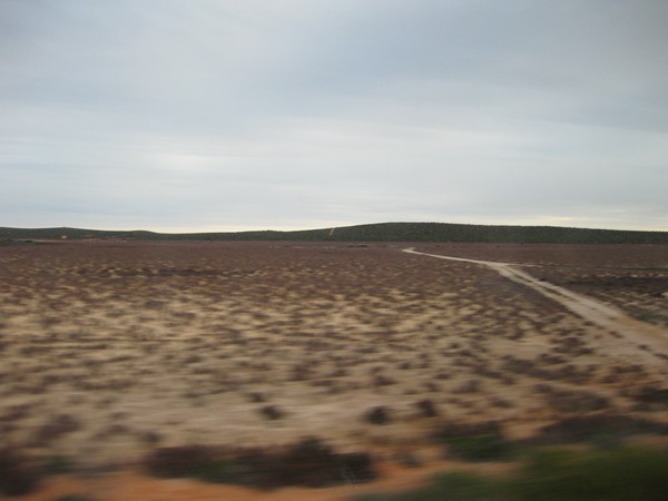 n_img_1899__near_denham__red_sand_dunes_and_green_and_blue_puffy_shrubs__down_to_salt_pan_flats_covered_with_salt_bush_.jpg