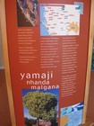 IMG_1931  Info on local Aboriginal  peoples.  Even after centuries of trading with food producers, they were not tempted to give up hunting and gathering.JPG