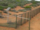 IMG_2012  Feral fence across the Peron Peninsula to exclude feral animals and protect native ones.JPG