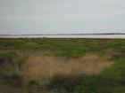 IMG_3061  Pink Lake, Hutt Lagoon.  The water is evaporated to get carotene loaded salt.JPG