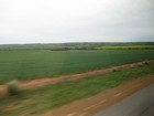 IMG_3093  The first canola we have seen.  Canola is Canada's gift of colour to farm areas.JPG