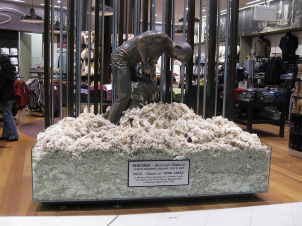 n_img_4490__tribute_to_a_world_champoin_sheep_shearer__in_sydney_airport.jpg