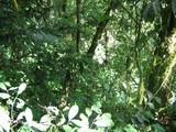 IMG_3565.JPG