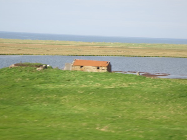 n_img_4872.jpg