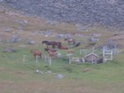 IMG_6665.JPG