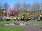 IMG_2675  Springtime in St Patrick's Park, Dublin.JPG