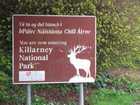 IMG_3121  We went to the park for our photo.  All signs have Gaelic.JPG