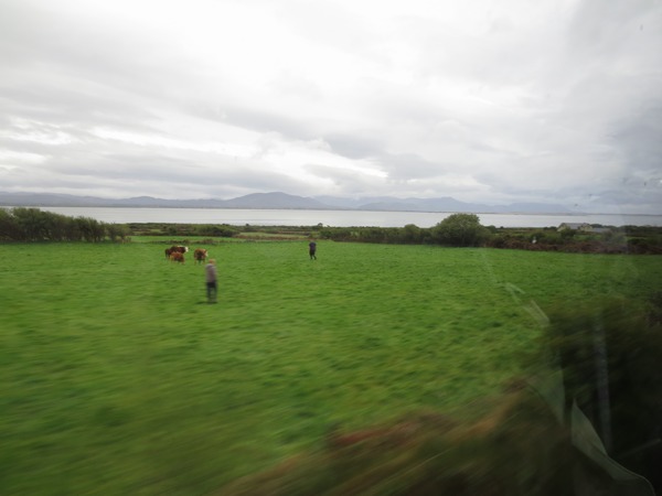 n_img_3227__view_from_inch_spit_on_the_dingle__south_to_the_iveragh__where_we_were_yesterday.jpg