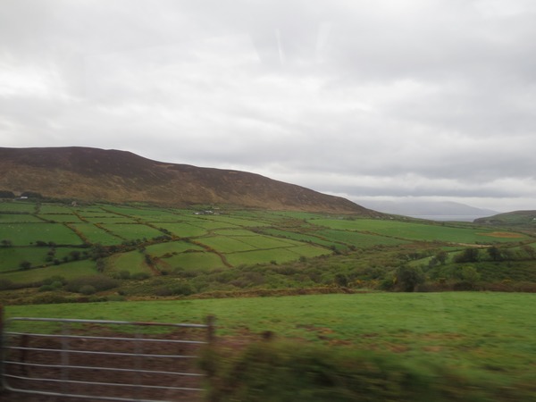 n_img_3239__a_patchwork_hillside_at_lios_poil__on_the_dingle.jpg