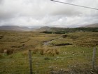 IMG_3616  Connemara.  A bog produces 12 feet of peat in 15,000 years.JPG