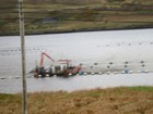 IMG_3632  Killary Fjord fish farming of salmon and mussels.JPG