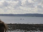 IMG_4141 Across to The Irish Country Doctor (by Patrick Taylor) coast of Belfast Lough.JPG