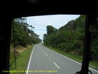 2007_03_28__2091_vegetation_near_the_haast_r_.jpg