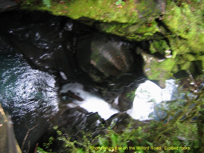 2007_03_30__2246_short_nature_trail_on_the_milford_road.jpg