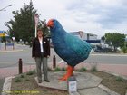 2007_03_30__2245_te_anau_taty_and_the_takahe.jpg
