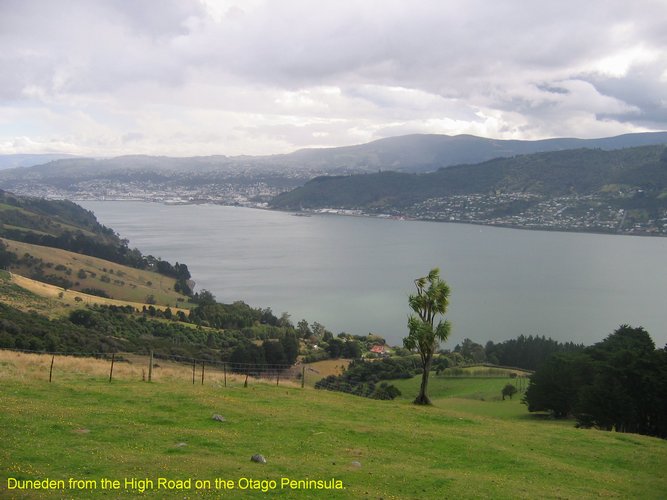 2007_03_31_2269_duneden_from_otago_peninsula.jpg