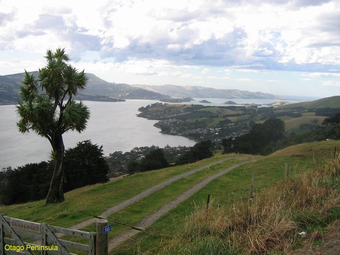 2007_03_31__2272_otago_peninsula.jpg