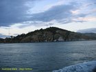 2007_03_31__2300_quarintine_island___otago_harbour.jpg