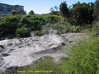 2007_04_06__2409__rotorua___ti_puia___mud_pool.jpg